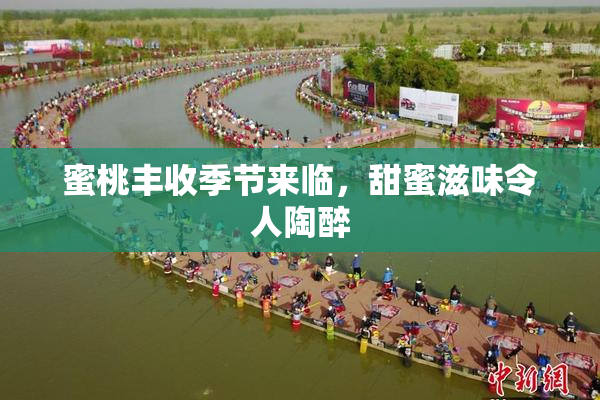 蜜桃丰收季节来临，甜蜜滋味令人陶醉