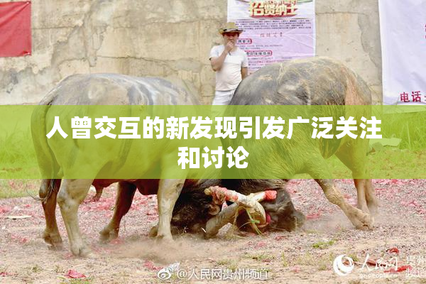 人曾交互的新发现引发广泛关注和讨论