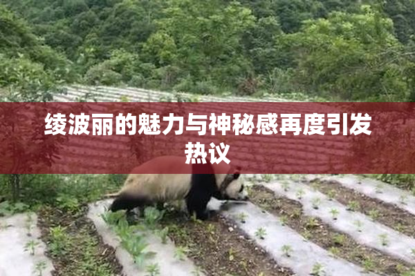 绫波丽的魅力与神秘感再度引发热议