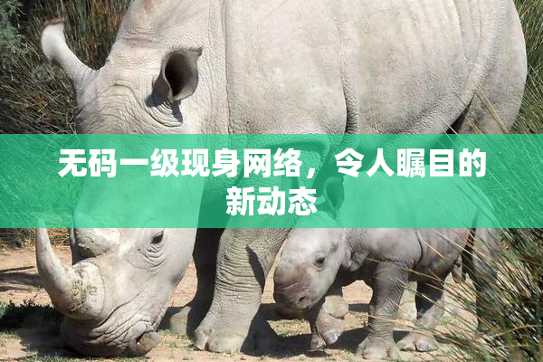 无码一级现身网络，令人瞩目的新动态