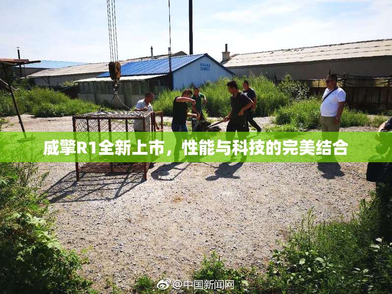 威擎R1全新上市，性能与科技的完美结合