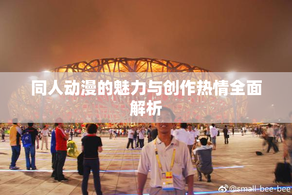 同人动漫的魅力与创作热情全面解析