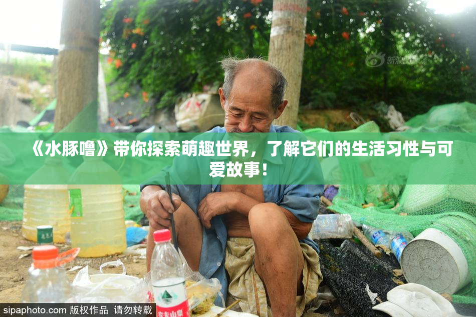 《水豚噜》带你探索萌趣世界，了解它们的生活习性与可爱故事！