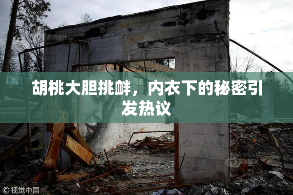 胡桃大胆挑衅，内衣下的秘密引发热议