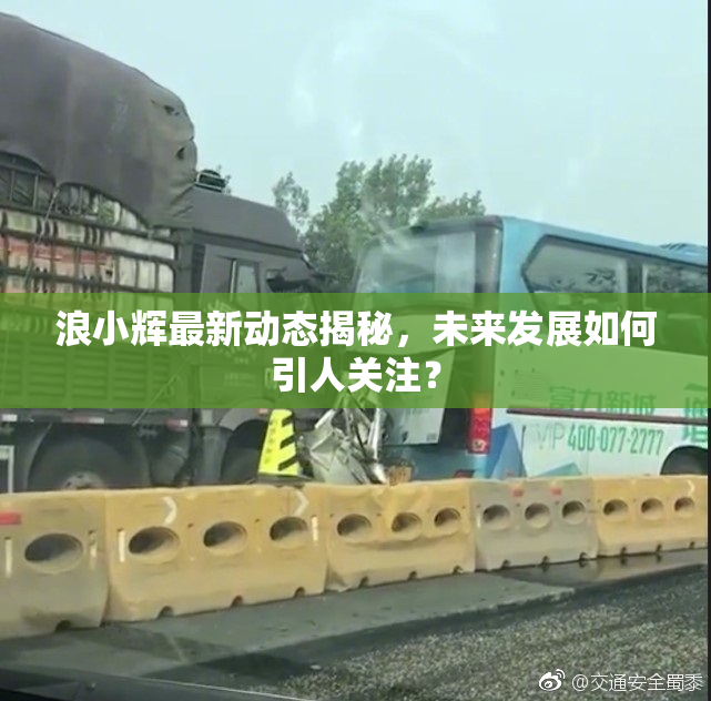 浪小辉最新动态揭秘，未来发展如何引人关注？