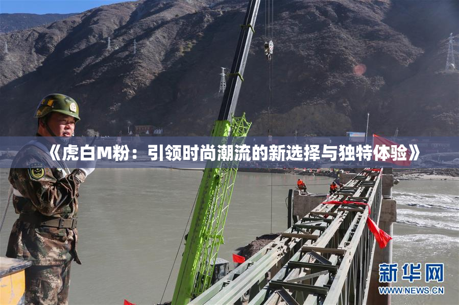 《虎白M粉：引领时尚潮流的新选择与独特体验》