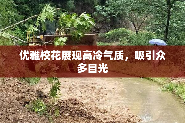 优雅校花展现高冷气质，吸引众多目光