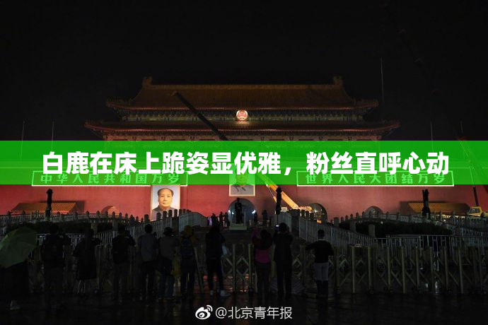 白鹿在床上跪姿显优雅，粉丝直呼心动