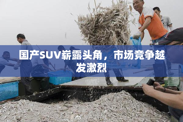 国产SUV崭露头角，市场竞争越发激烈