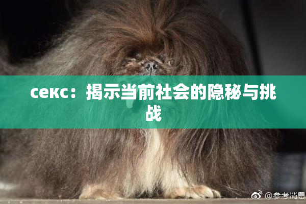 ceкс：揭示当前社会的隐秘与挑战