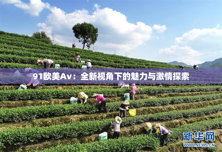 91欧美Av：全新视角下的魅力与激情探索