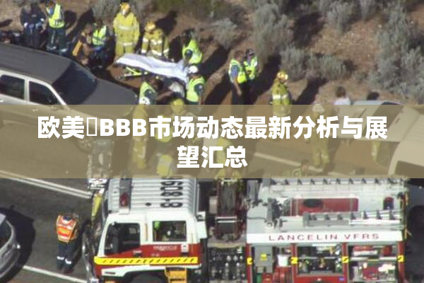 欧美槡BBB市场动态最新分析与展望汇总