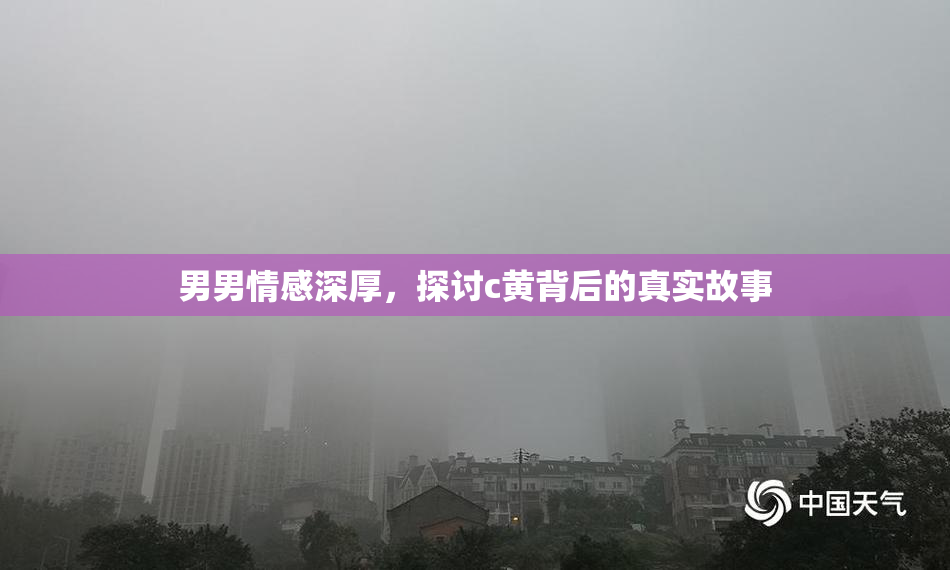 男男情感深厚，探讨c黄背后的真实故事