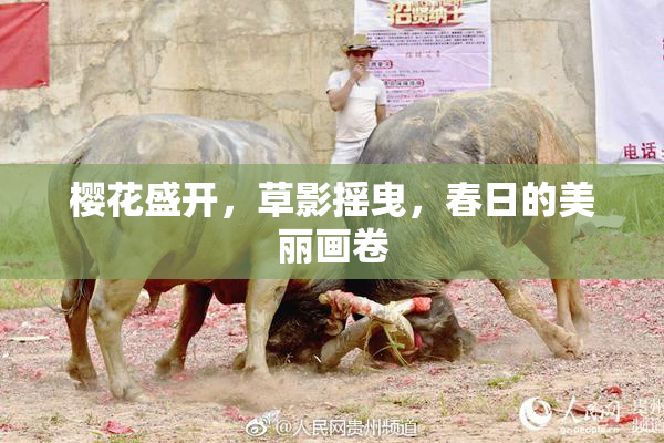 樱花盛开，草影摇曳，春日的美丽画卷