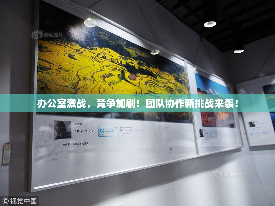 办公室激战，竞争加剧！团队协作新挑战来袭！