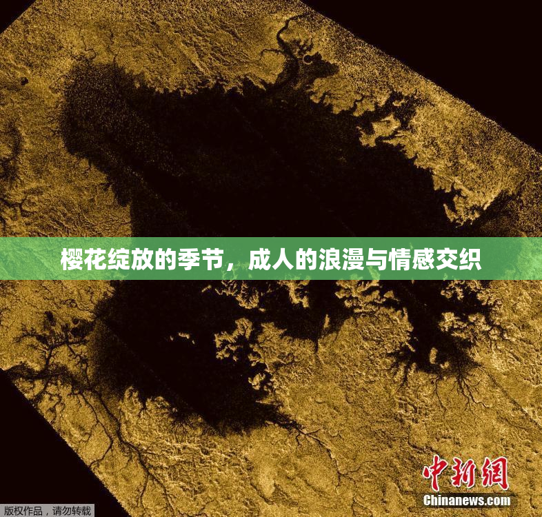 樱花绽放的季节，成人的浪漫与情感交织