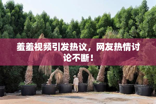 羞羞视频引发热议，网友热情讨论不断！
