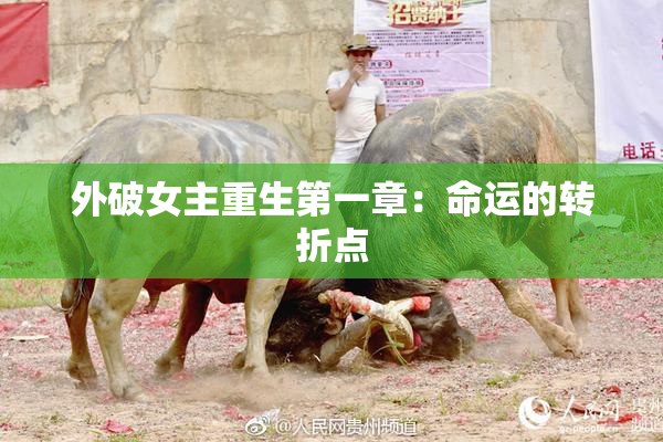 外破女主重生第一章：命运的转折点