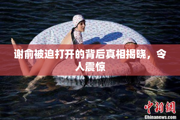 谢俞被迫打开的背后真相揭晓，令人震惊