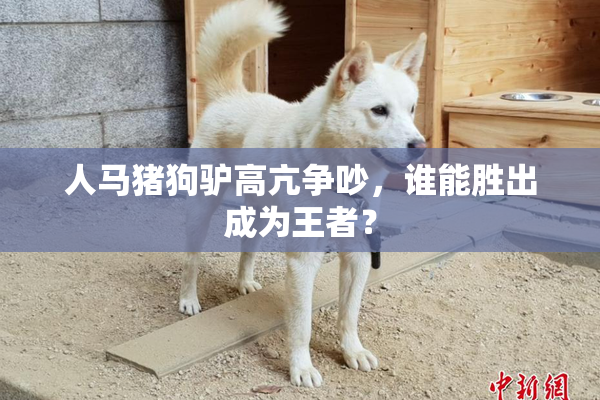 人马猪狗驴高亢争吵，谁能胜出成为王者？