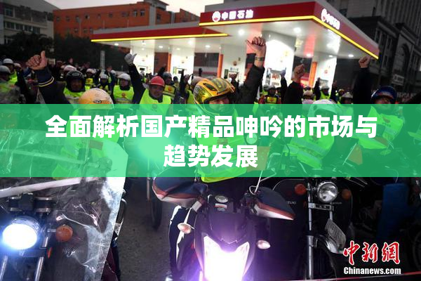 全面解析国产精品呻吟的市场与趋势发展