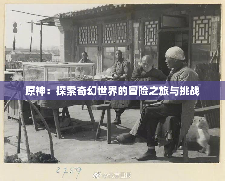 原神：探索奇幻世界的冒险之旅与挑战