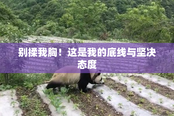 别揉我胸！这是我的底线与坚决态度