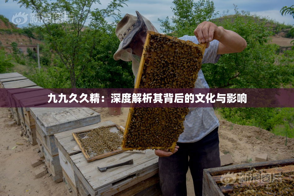 九九久久精：深度解析其背后的文化与影响