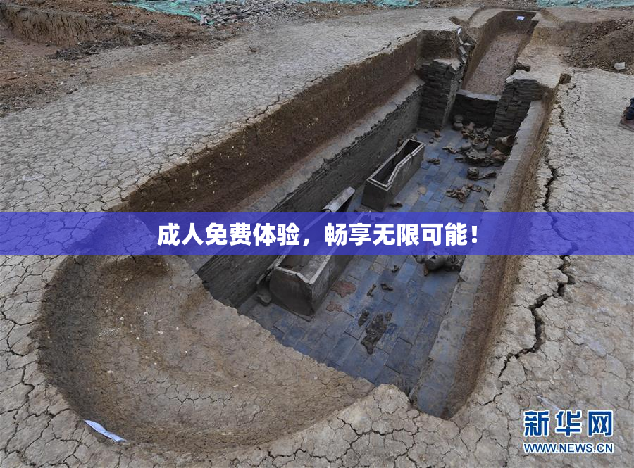 成人免费体验，畅享无限可能！