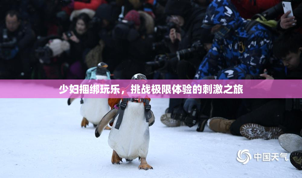 少妇捆绑玩乐，挑战极限体验的刺激之旅