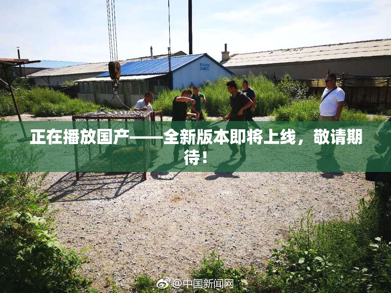 正在播放国产——全新版本即将上线，敬请期待！