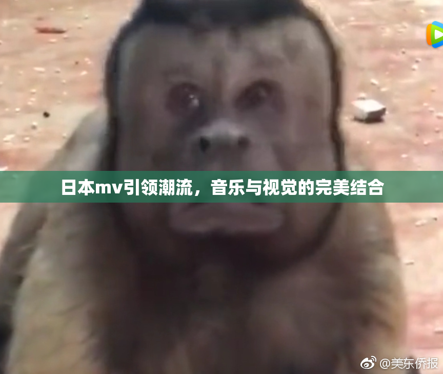 日本mv引领潮流，音乐与视觉的完美结合