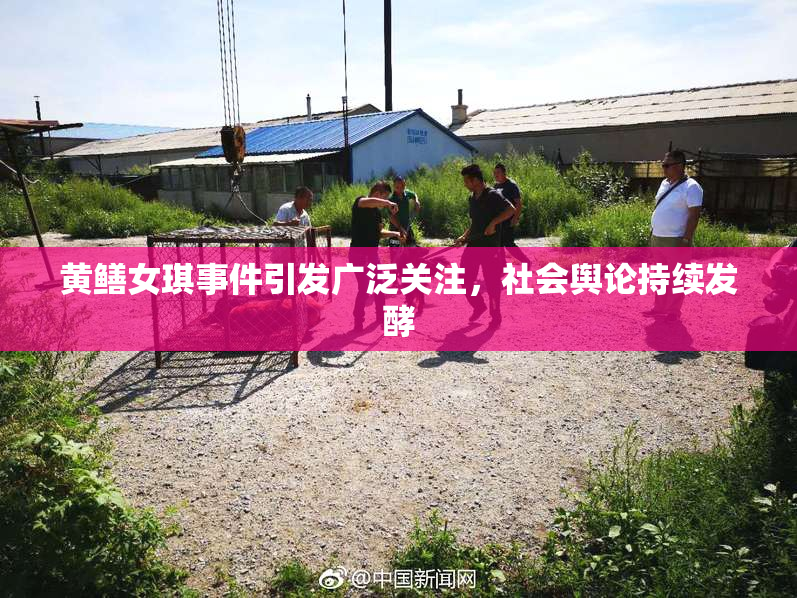 黄鳝女琪事件引发广泛关注，社会舆论持续发酵