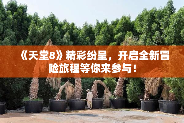 《天堂8》精彩纷呈，开启全新冒险旅程等你来参与！