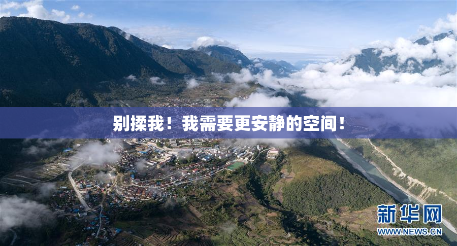 别揉我！我需要更安静的空间！