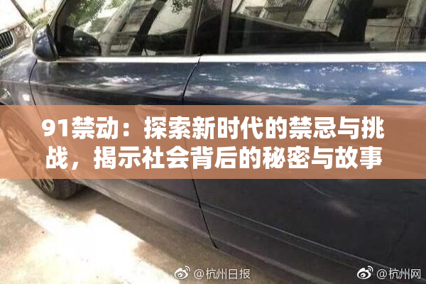 91禁动：探索新时代的禁忌与挑战，揭示社会背后的秘密与故事
