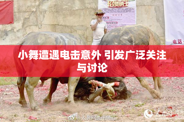 小舞遭遇电击意外 引发广泛关注与讨论