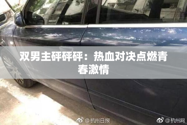 双男主砰砰砰：热血对决点燃青春激情