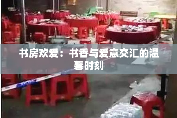 书房欢爱：书香与爱意交汇的温馨时刻