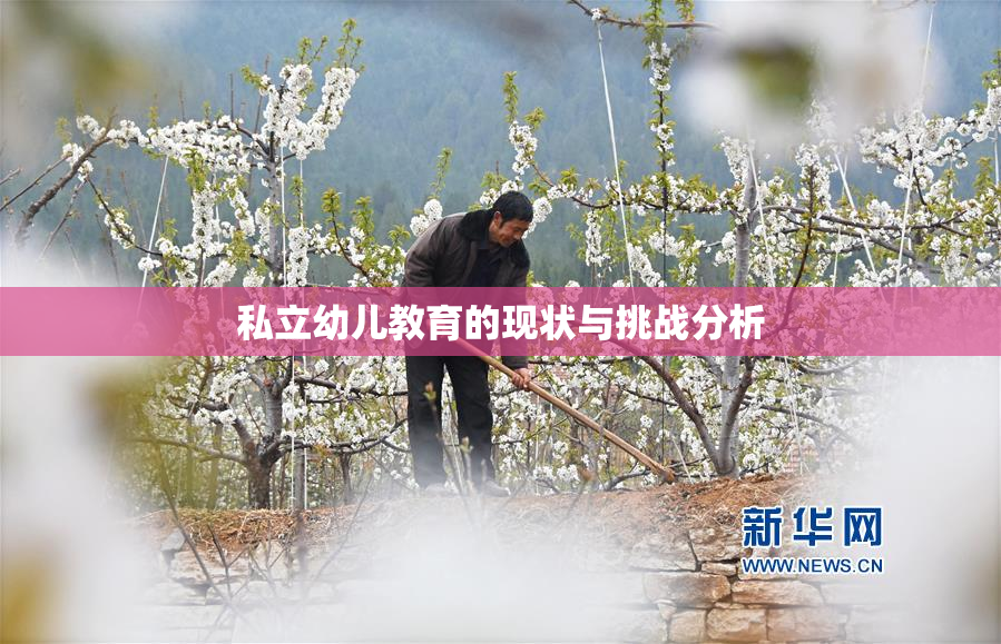 私立幼儿教育的现状与挑战分析