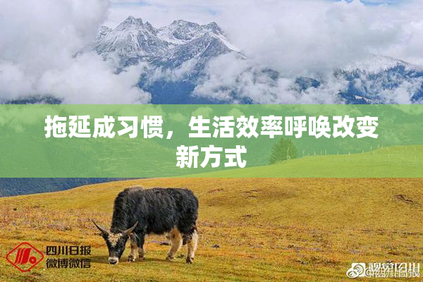 拖延成习惯，生活效率呼唤改变新方式