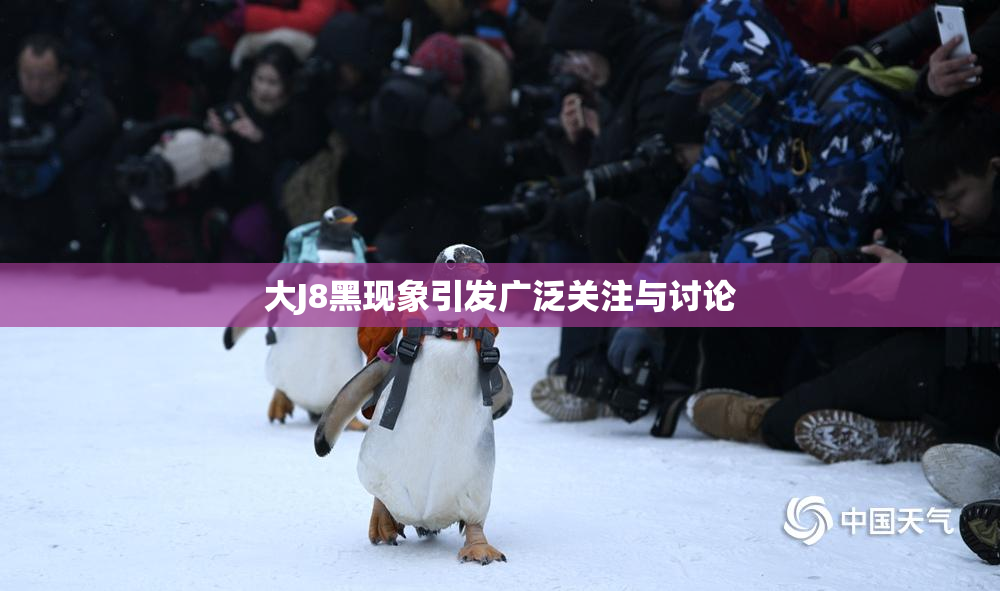 大J8黑现象引发广泛关注与讨论