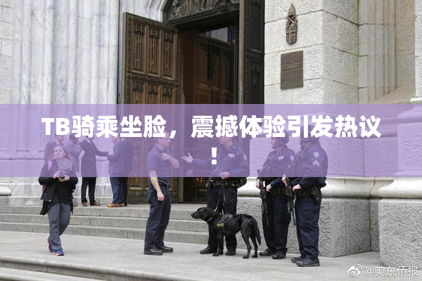 TB骑乘坐脸，震撼体验引发热议！