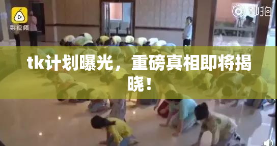 tk计划曝光，重磅真相即将揭晓！