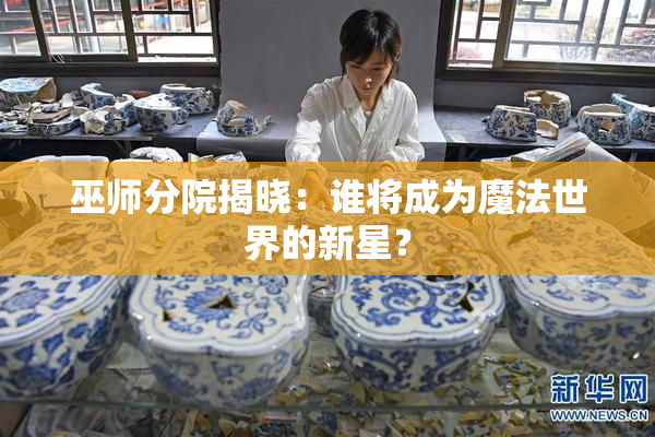 巫师分院揭晓：谁将成为魔法世界的新星？