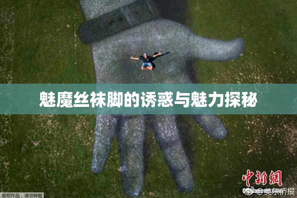 魅魔丝袜脚的诱惑与魅力探秘