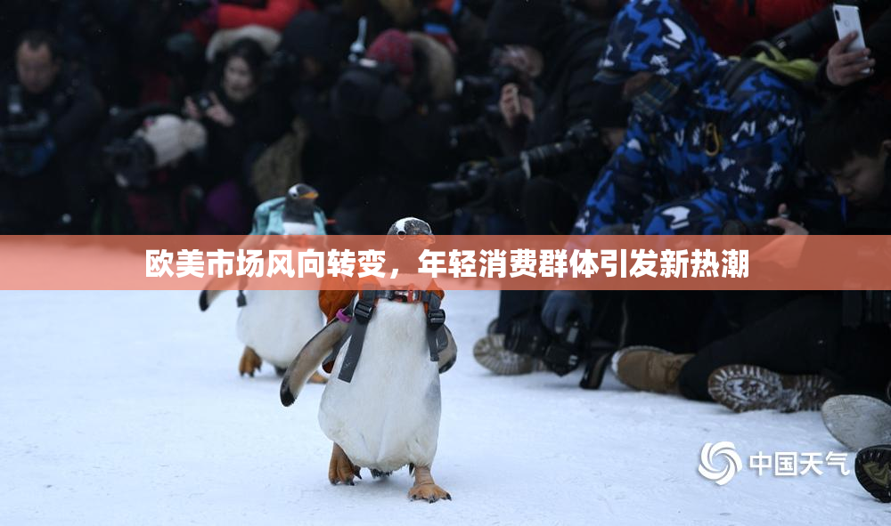 欧美市场风向转变，年轻消费群体引发新热潮