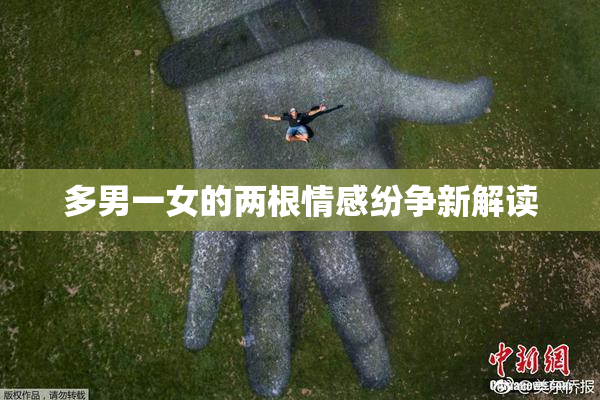 多男一女的两根情感纷争新解读
