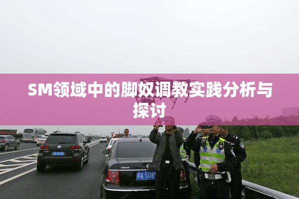 SM领域中的脚奴调教实践分析与探讨