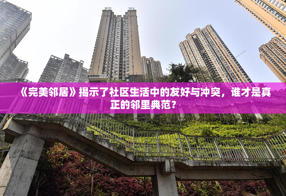 《完美邻居》揭示了社区生活中的友好与冲突，谁才是真正的邻里典范？